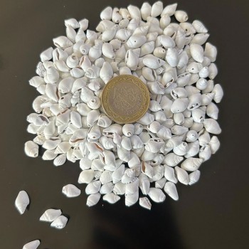 Nassa Shell Yerli Boyanmiş Kiloluk Deniz Kabuğu - 500grm Nassa Shell Yerli Boyanmiş Kiloluk Deniz Kabuğu - 500grm