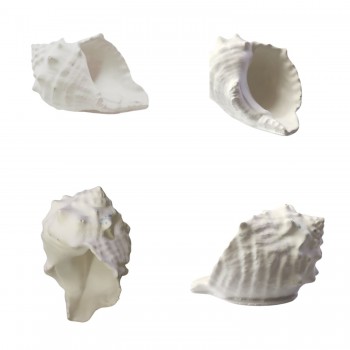 Silikon 3D Dekoratif Mumluk Kalıbı Deniz Kabuğu Bursa Rubeta Model Taş Tozu ve Beton Kalıbı