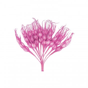 Çiçek Başak Modeli - 100 Adet Pembe Çiçek Başak Modeli - 100 Adet Pembe