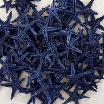 Naturel Deniz Yıldızı Minik Boy 0.5 Cm -1.5 Cm - 100 Adet Mavi Naturel Deniz Yıldızı Minik Boy 0.5 Cm -1.5 Cm - 100 Adet Mavi