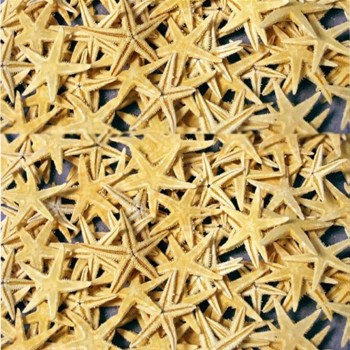 Naturel Deniz Yıldızı Minik Boy 0.5 -2 CM - 10 Adet Natural Naturel Deniz Yıldızı Minik Boy 0.5 -2 CM - 10 Adet Natural