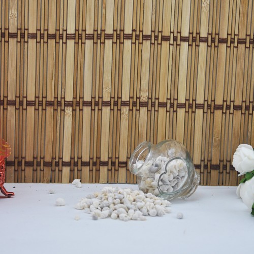 Nassa Shell Yerli Boyanmiş Kiloluk Deniz Kabuğu - 500grm