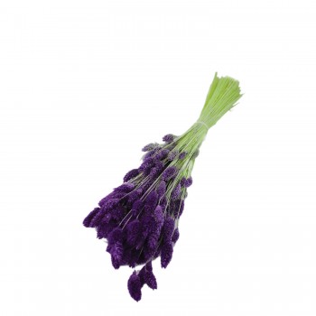 Kuru Çiçek Kuş Otu Şoklanmış Kurutulmuş 40 CM   Mor