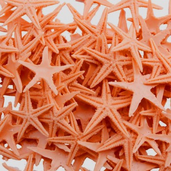 Polyester Deniz Yıldızı Minik Boy 0.5 CM- 1.5 CM - 100 Adet Turuncu Polyester Deniz Yıldızı Minik Boy 0.5 CM- 1.5 CM - 100 Adet Turuncu