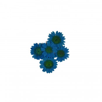 Preslenmiş Kurutulmuş Papatya Çiçek Bitkiler Epoksi Reçine Kolye Takı Papımı - 100 Adet Saks Mavi Preslenmiş Kurutulmuş Papatya Çiçek Bitkiler Epoksi Reçine Kolye Takı Papımı - 100 Adet Saks Mavi