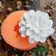Silikon Kalıp Lotus Çiçeği Kalıbı S74 Silikon Kalıp Lotus Çiçeği Kalıbı S74