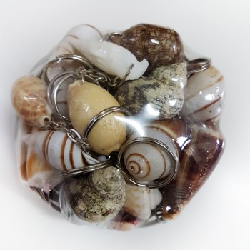 Anahtarlık Sepeti 25'Li Set Anahtarlık Sepeti 25'Li Set