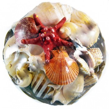 Fruit Of The Sea 12 İnç Fruit Of The Sea 12 İnç