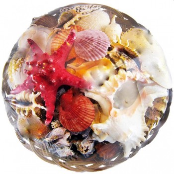 Fruit Of The Sea 35 CM Fruit Of The Sea 35 CM