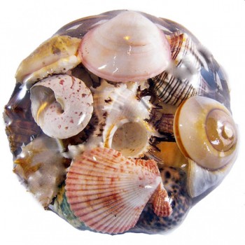 Fruit Of The Sea 20 CM Fruit Of The Sea 20 CM