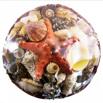 Kırmızı Sepet İçi Kabuk 20 CM Kırmızı Sepet İçi Kabuk 20 CM