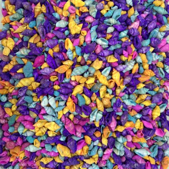 Nassa Shell-Karışık Renkli Kiloluk Deniz Kabuğu - 1 KG Nassa Shell-Karışık Renkli Kiloluk Deniz Kabuğu - 1 KG