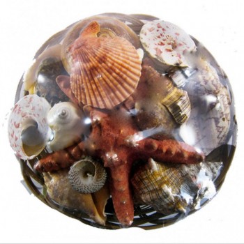 Sepet İçi Kabuk 18 CM Sepet İçi Kabuk 18 CM