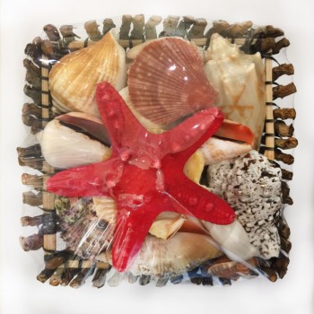 Sepet Kabuk 6 İNÇ Ağaç Dalı - Yuvarlak Sepet Kabuk 6 İNÇ Ağaç Dalı - Yuvarlak