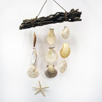 Parmak Yıldızlıradula Ağaç Dalı 1445 Parmak Yıldızlıradula Ağaç Dalı 1445