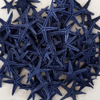 Naturel Deniz Yıldızı Minik Boy 1.5 Cm -3 Cm - 100 Adet Mavi Naturel Deniz Yıldızı Minik Boy 1.5 Cm -3 Cm - 100 Adet Mavi