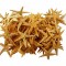 Deniz Yıldızı Natural 6 Cm - 9 Cm - 100 Adet