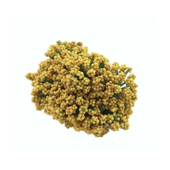 Cipso Çiçek Dökülen Cipso - 144 Adet Altın Cipso Çiçek Dökülen Cipso - 144 Adet Altın