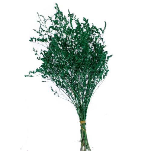 Deniz Otu Demeti Naturel 35 CM - 20 Gram Yeşil Deniz Otu Demeti Naturel 35 CM - 20 Gram Yeşil