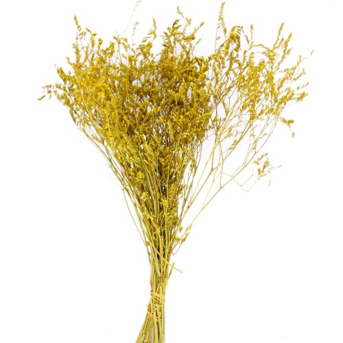 Deniz Otu Demeti Naturel 35 CM - 20 Gram Sarı Deniz Otu Demeti Naturel 35 CM - 20 Gram Sarı