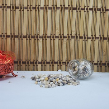 Karışık Minik Kiloluk Deniz Kabuğu - Şişe İçi İçin - 1 KG Karışık Minik Kiloluk Deniz Kabuğu - Şişe İçi İçin - 1 KG