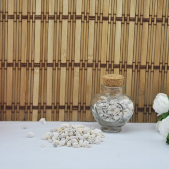 Nassa Shell Kavrulmuş Kiloluk Deniz Kabuğu 250 GR Nassa Shell Kavrulmuş Kiloluk Deniz Kabuğu 250 GR