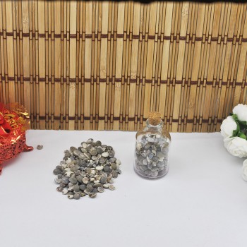 Umbinium Kiloluk Deniz Kabuğu - 1 KG Umbinium Kiloluk Deniz Kabuğu - 1 KG