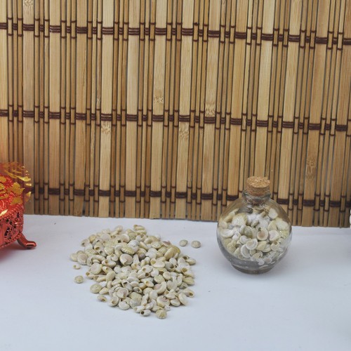 Umbinium Beyaz Kiloluk Deniz Kabuğu - 1 KG