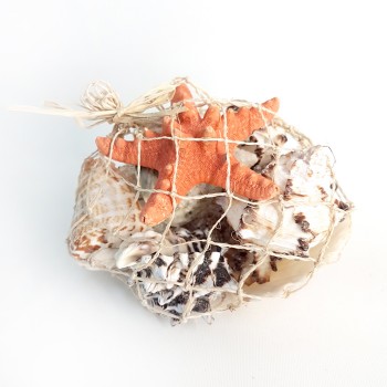 File Sepet Kabuk Küçük File Sepet Kabuk Küçük