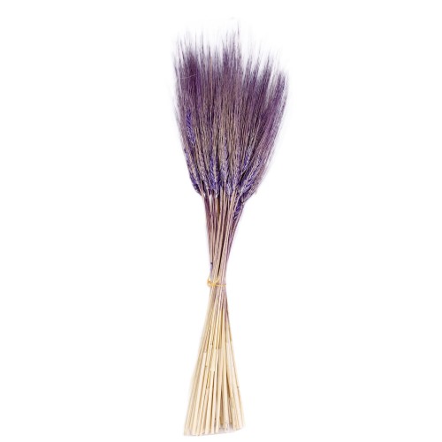 Kuru Çiçek Doğal Başak Buğday Başağı  45 Cm - 1 Demet  Lila