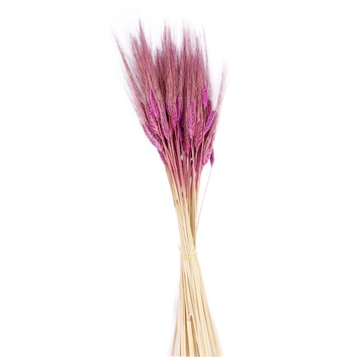 Kuru Çiçek Doğal Başak Buğday Başağı  45 Cm - 1 Demet  Pembe