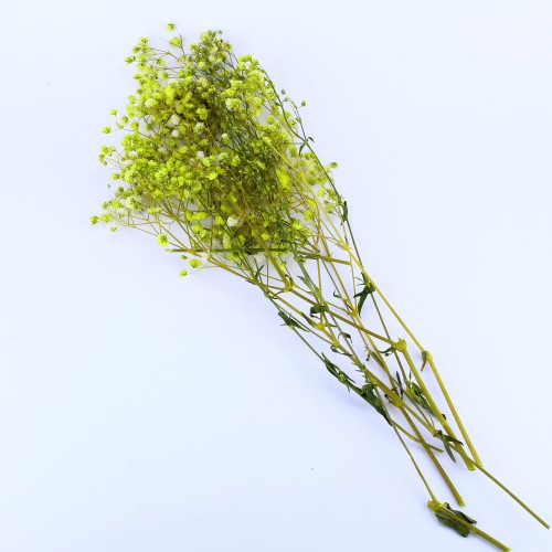 Kuru Çiçek Doğal Kurutulmuş Çiçek Doğal Cipso 40 CM 20 GR  Sarı