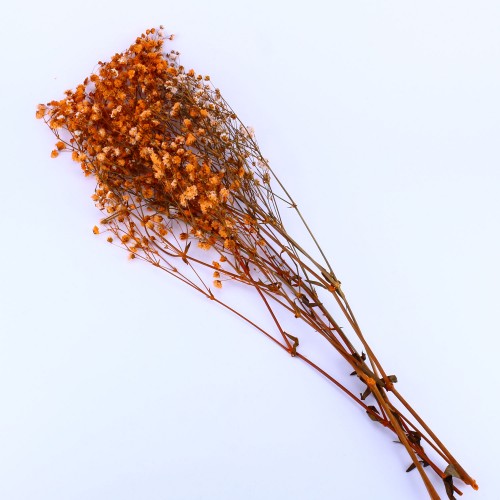 Kuru Çiçek Doğal Kurutulmuş Çiçek Doğal Cipso 40 CM 20 GR  Turuncu