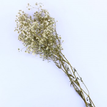 Kuru Çiçek Doğal Kurutulmuş Çiçek Doğal Cipso 40 CM 20 GR Natural Kuru Çiçek Doğal Kurutulmuş Çiçek Doğal Cipso 40 CM 20 GR Natural