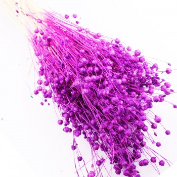 Kuru Çiçek Doğal Kurutulmuş Keten Otu Çiçeği 35 GR - 1 Demet Mor Kuru Çiçek Doğal Kurutulmuş Keten Otu Çiçeği 35 GR - 1 Demet Mor