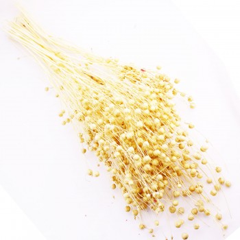 Kuru Çiçek Doğal Kurutulmuş Keten Otu Çiçeği 35 GR - 1 Demet Natural Kuru Çiçek Doğal Kurutulmuş Keten Otu Çiçeği 35 GR - 1 Demet Natural