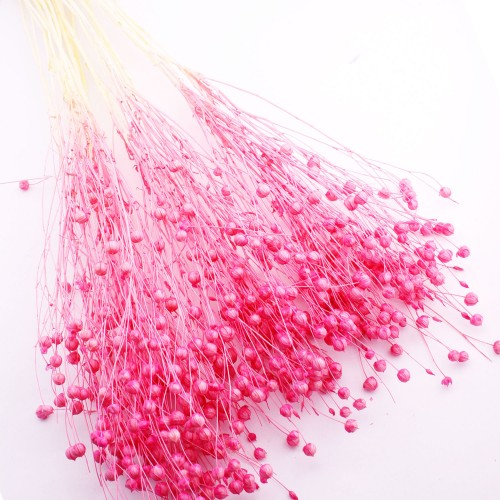 Kuru Çiçek Doğal Kurutulmuş Keten  Otu Çiçeği 35 GR - 1 Demet  Pembe