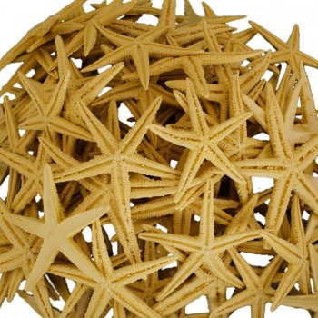 Polyester Deniz Yıldızı 6 CM - 9 CM - 50 Adet Natural Polyester Deniz Yıldızı 6 CM - 9 CM - 50 Adet Natural