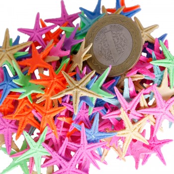 Polyester Deniz Yıldızı Minik Boy 0.5 CM- 1.5 CM - 100 Adet Karışık Renk Polyester Deniz Yıldızı Minik Boy 0.5 CM- 1.5 CM - 100 Adet Karışık Renk
