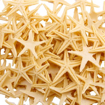 Polyester Deniz Yıldızı Minik Boy 0.5 CM- 1.5 CM - 100 Adet Natural Polyester Deniz Yıldızı Minik Boy 0.5 CM- 1.5 CM - 100 Adet Natural