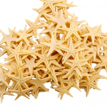 Polyester Deniz Yıldızı Minik Boy 1.5 Cm -3 Cm - 100 Adet Natural Polyester Deniz Yıldızı Minik Boy 1.5 Cm -3 Cm - 100 Adet Natural