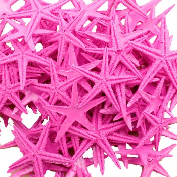 Polyester Deniz Yıldızı Minik Boy 1.5 Cm -3 Cm - 100 Adet Pembe Polyester Deniz Yıldızı Minik Boy 1.5 Cm -3 Cm - 100 Adet Pembe
