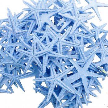 Polyester Deniz Yıldızı Minik Boy 1.5 Cm -3 Cm - 100 Adet Mavi Polyester Deniz Yıldızı Minik Boy 1.5 Cm -3 Cm - 100 Adet Mavi