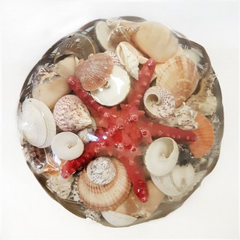 Sepet İçi Kabuk -12 Sepet İçi Kabuk -12