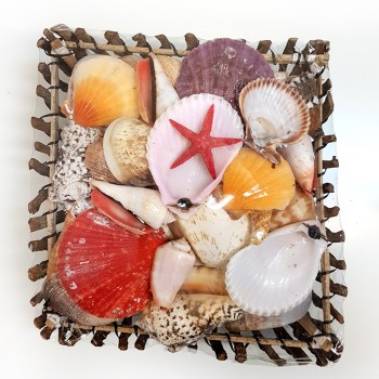 Sepet Kabuk 8-Ağaç Dalı - Kare Sepet Kabuk 8-Ağaç Dalı - Kare