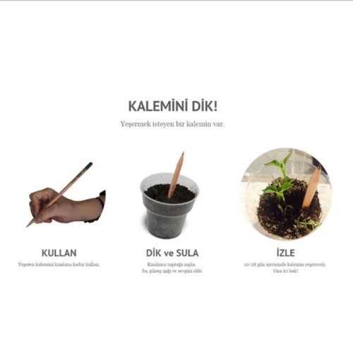 Tohumlu Yaşayan Kalem Yeşeren Kalem Tohumlu 12 Li