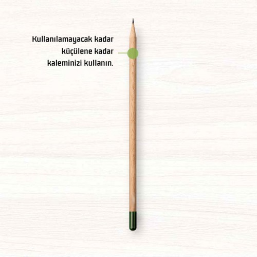 Tohumlu Yaşayan Kalem Yeşeren Kalem Tohumlu 12 Li