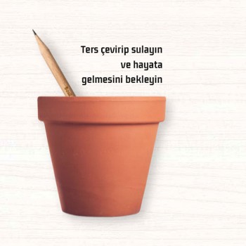 Tohumlu Yaşayan Kalem Yeşeren Kalem Tohumlu 12 Li Tohumlu Yaşayan Kalem Yeşeren Kalem Tohumlu 12 Li