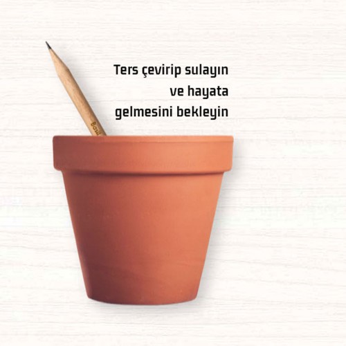 Tohumlu Yaşayan Kalem Yeşeren Kalem Tohumlu 12 Li